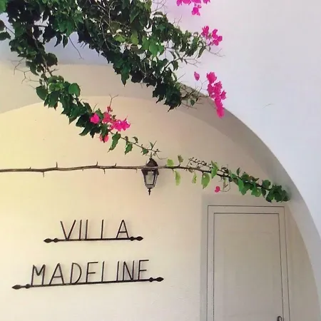 Madeline Rhodes City